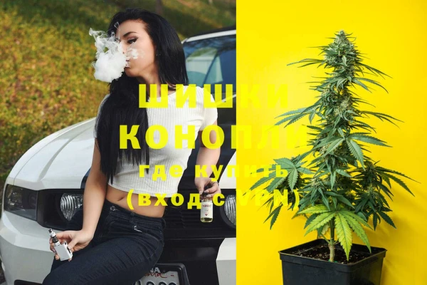 гашик Нягань