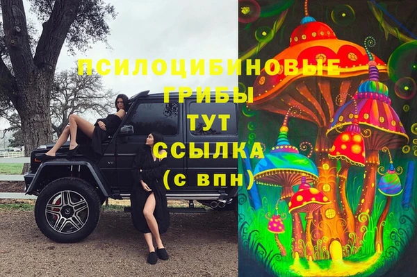 СК Нязепетровск
