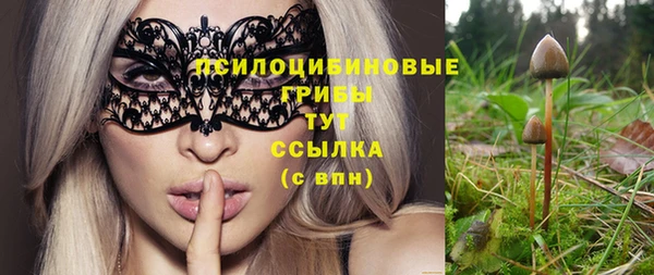 гашик Нягань
