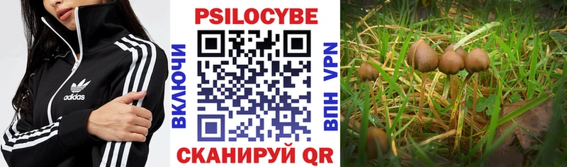 Псилоцибиновые грибы Cubensis  Радужный 